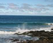 Our Vanishing World: Oceans