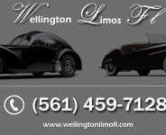 Airport limousine Car Service in South Florida Brought To You by WLSF.