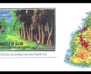 “The Beauty of Pamplemousses, Mauritius Islands” By Abdul Haye Amin.