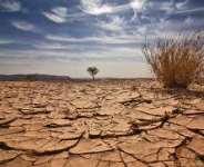 Making 2015 A Crucial Year For Africa To Address Green Climate Fund