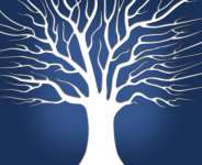 The Wisdom and Rise in Adversity: The Tale of a People