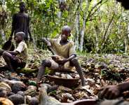 Child labour undermining sustainability in the cocoa industry