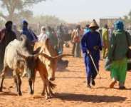 MEDIA IGNORANCE: THE STORY OF GHANAIAN FULANI