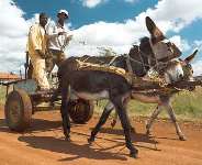 Savouring Rural Life