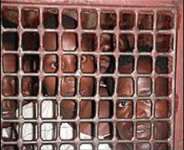 Rejoinder: Why voting by prisoners? Supreme court is wrong