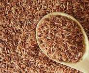 We Can Be Self Reliant In Food Production