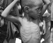 Bringing Poverty To Heel