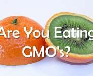 Misconception Of Genetically Modified Foods In Ghana Results From Weak Education — Study Reveals