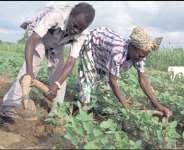 World Labour Day, The Islamic Factor