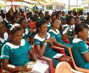 The Fertiliser Nurses And The Bumper Harvest