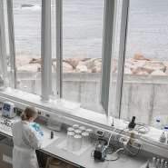 A scientist at an EMBRC marine laboratory in Spain, where researchers collect, study and preserve marine organisms for research and conservation. - EMBRC Spain/ECIMAT
