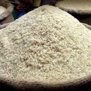 Government identifies 515,000 hectares of rice farms through satellite mapping initiative