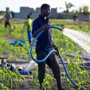 The $3.5 Billion Bet on Ghanas Soil: Why the AgriConnect Compact Could Transform Farming Forever