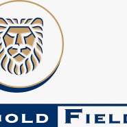 Delay in Gold Fields Lease Renewal Scaring Investors — CEMSE Boss Warns Government