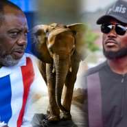 Ill smoke them out! – Kojo Bamba alleges powerful NPP figures plotting against NAPO