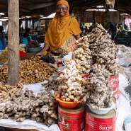 Ginger prices soar 102.5% as food inflation shows sharp contrasts in June