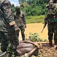 Mpohor-Fiase District Taskforce arrests suspected illegal miners in intelligence-led operation