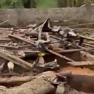 Four killed, several injured as terror snake causes dynamite explosion at Aboso