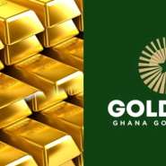 IMF welcomes transfer of Domestic Gold Purchase Programme from BoG to GoldBod to improve accountability, reduce financial risks