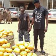 Suspects