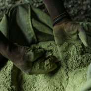 A Sudanese farmer cultivates henna amidst water shortages in El-Damer in the Nile River State.  By - (AFP)