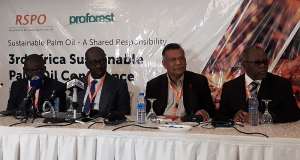 Ghana Spends US$40m To Import Palm Oil Yearly: What RSPO Is Doing