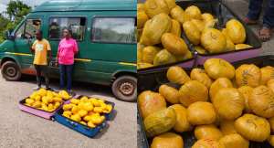Police arrest two with 73 parcels of suspected cannabis, reject GH¢300,000 bribe