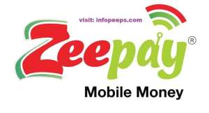 Bank of Ghana revokes Zeepays electronic money licence over regulatory breaches