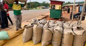 Govt increases cocoa farmgate price per bag by GH¢128.75 effective August 7