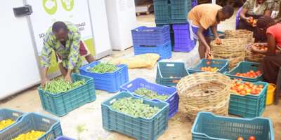 Empowering Communities: The Intersection Of Business Innovation And Poverty Alleviation