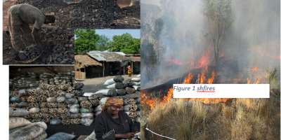 The Woes Of The Forest Of Northern Ghana, A National Challenge, Should The Charcoal Industry Be Ban?