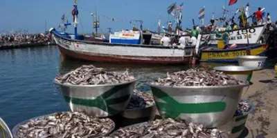 Declining Fish Stock Emergency