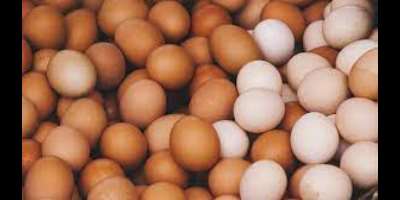 Eggs have the potential to prevent strokes, diabetes