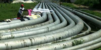 Fear Over Terrible Effects of Blowing Oil Pipelines on Biodiversity