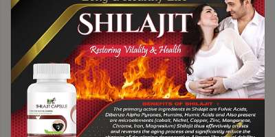 Shilajit: potential natural cancer treatment, regulates heart rate, treats infertility, diabetes, and sexual function