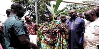 DEDA Distributes Improved Certified Coconut Seedlings To Farmers Within The District