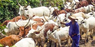 The Persecution Of Fulani People In Ghana: A Critical Examination And Call For Justice