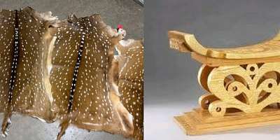 Chieftaincy Crisis in Ghana, Blame fake Historians - The Case of Bawku and Others