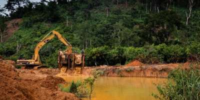 Women In Forestry angry over natural resources mismanagement in Ghana
