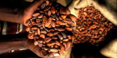 SEND Ghana advocates for tax incentives for Ghanaian-owned cocoa processing companies