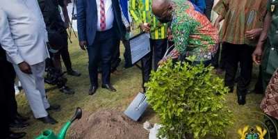 Green Ghana Day: Dont plant trees too close to roadside – NRSA to Ghanaians