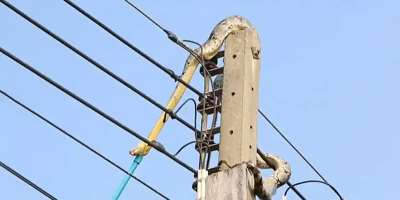 Snake causes dumsor in Ejisu
