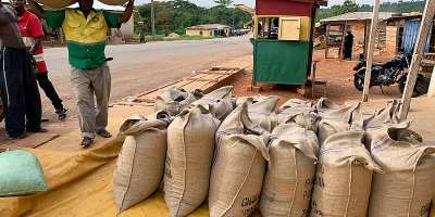 Cocoa farmers to continue receiving GH¢2,587 per bag in 2026 light crop season — COCOBOD