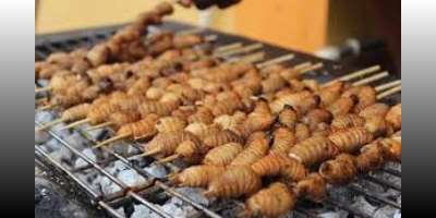 Akokono Khebab