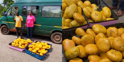 Police arrest two with 73 parcels of suspected cannabis, reject GH¢300,000 bribe