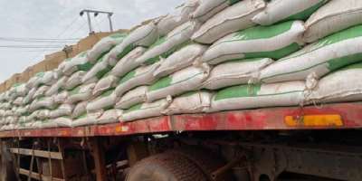 Govt distributes nearly 500,000 bags of free fertiliser as global price surge hits farmers