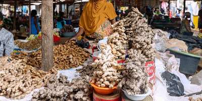 Ginger prices soar 102.5% as food inflation shows sharp contrasts in June
