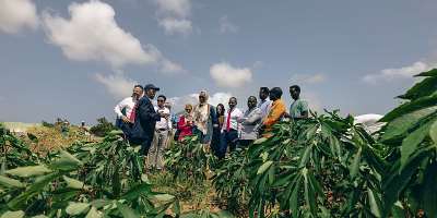 At City University in Mogadishu, IOM supports a seed bank preserving indigenous crops, nurturing climate resilience and environmental peacebuilding. Photo: IOM/Raber Aziz