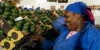 Turning African Food Systems into the Next Big Asset Class