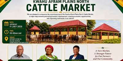 Kwahu Afram Plains North cattle market to be commissioned